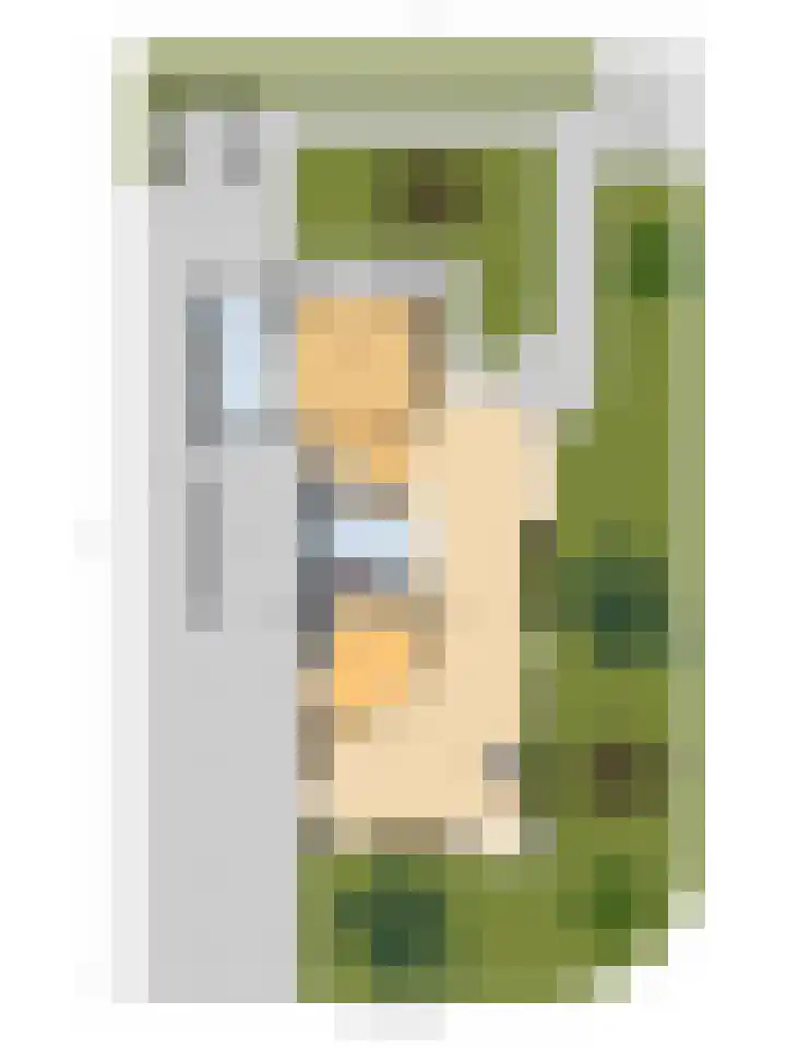 Stadhoudershoef 2 Hank thumbnail 69