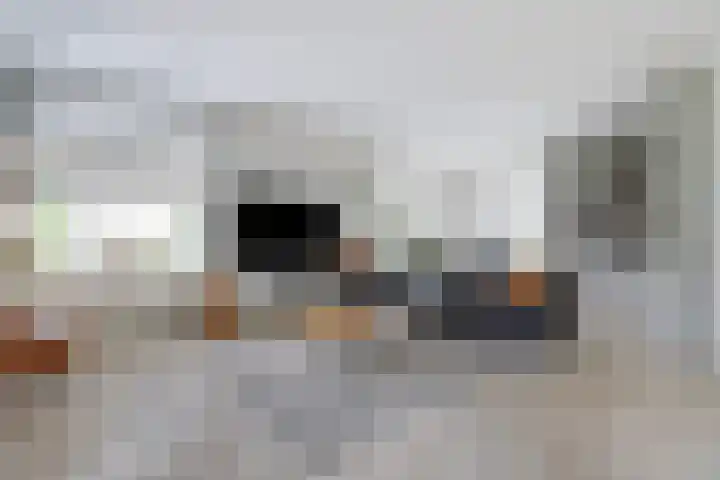Stadhoudershoef 2 Hank thumbnail 7