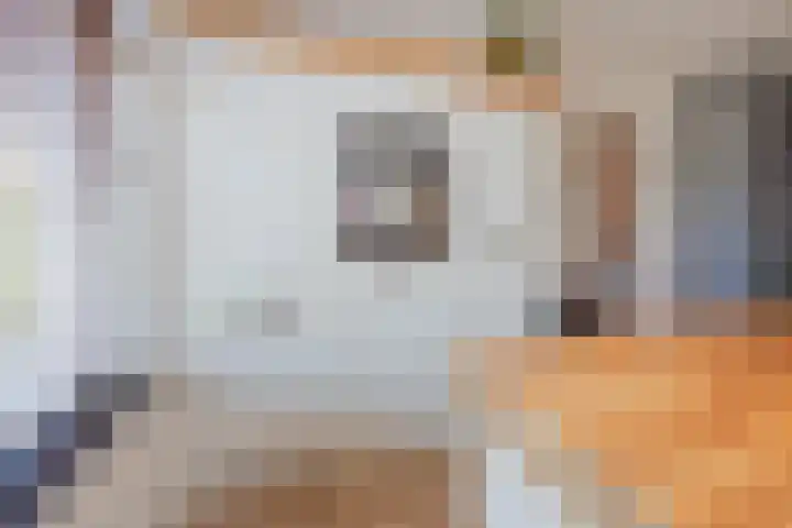Stadhoudershoef 8 Hank thumbnail 21