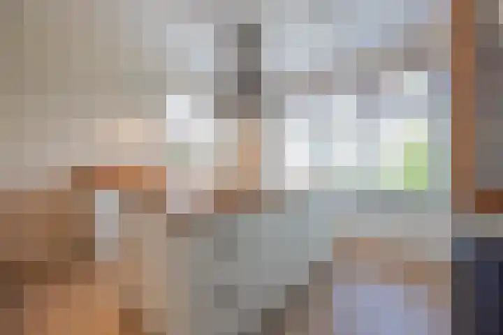 Stadhoudershoef 8 Hank thumbnail 22