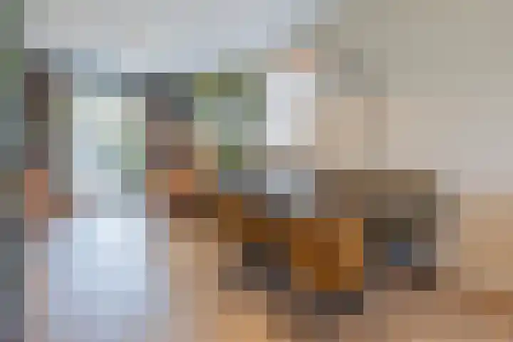 Stadhoudershoef 8 Hank thumbnail 23