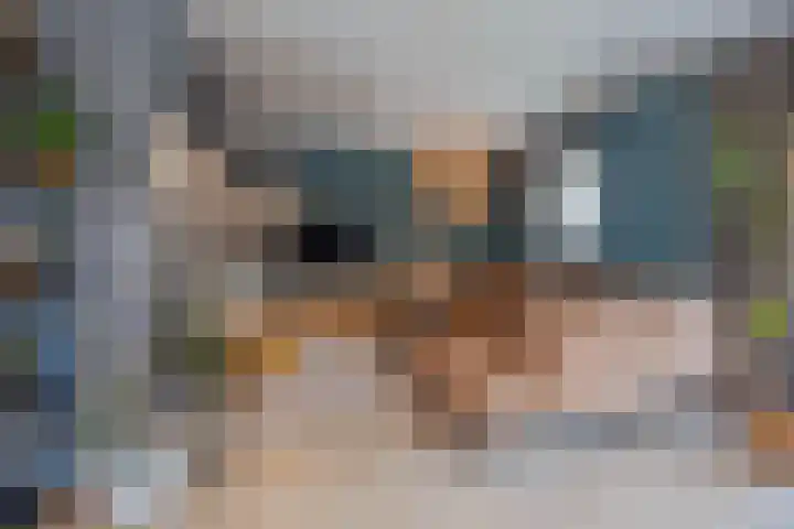 Stadhoudershoef 8 Hank thumbnail 24