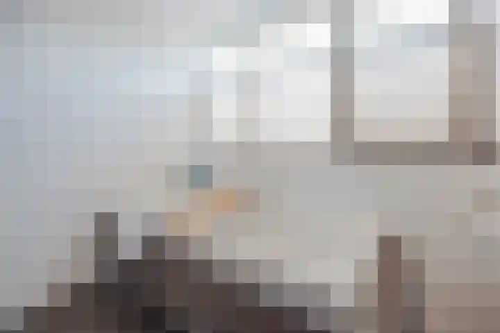 Stadhoudershoef 8 Hank thumbnail 34