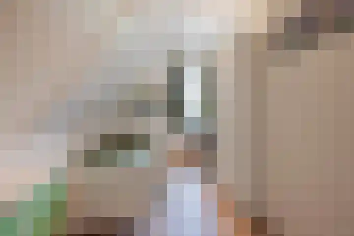 Stadhoudershoef 8 Hank thumbnail 38