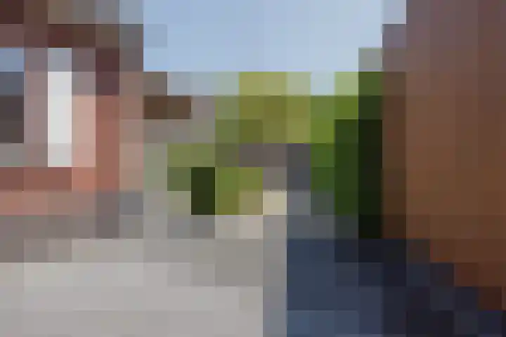 Stadhoudershoef 8 Hank thumbnail 43