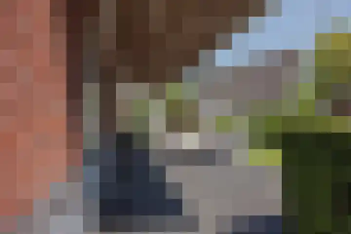 Stadhoudershoef 8 Hank thumbnail 44