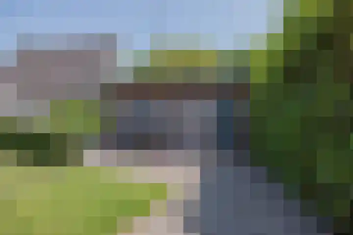 Stadhoudershoef 8 Hank thumbnail 45