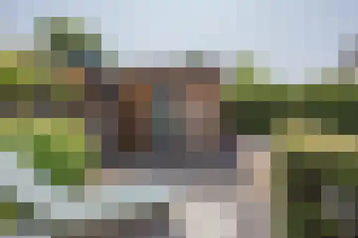 Stadhoudershoef 8 Hank thumbnail 48