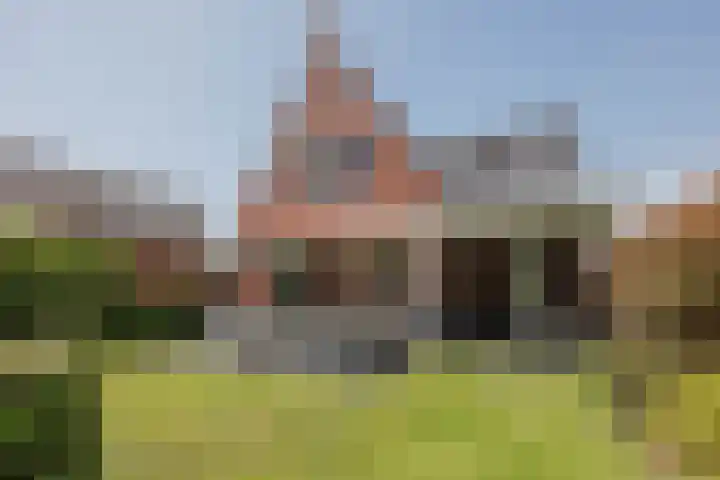 Stadhoudershoef 8 Hank thumbnail 5