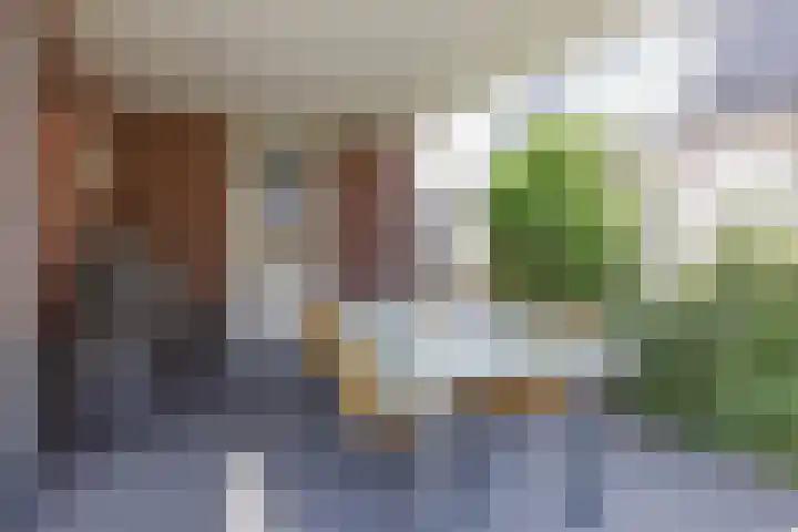 Stadhoudershoef 8 Hank thumbnail 50