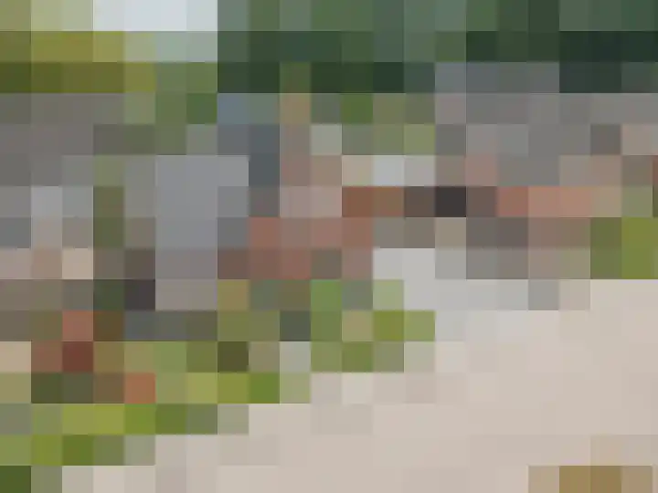 Stadhoudershoef 8 Hank thumbnail 55