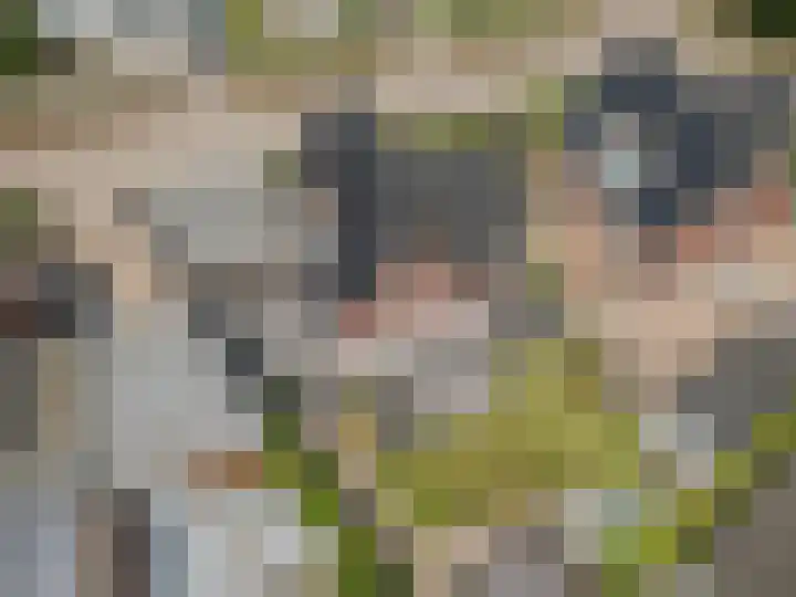 Stadhoudershoef 8 Hank thumbnail 62