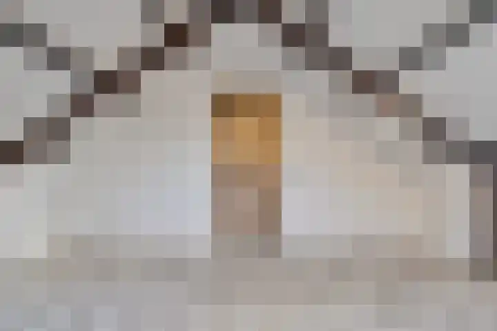 Stadhoudershof 12 Harmelen thumbnail 22
