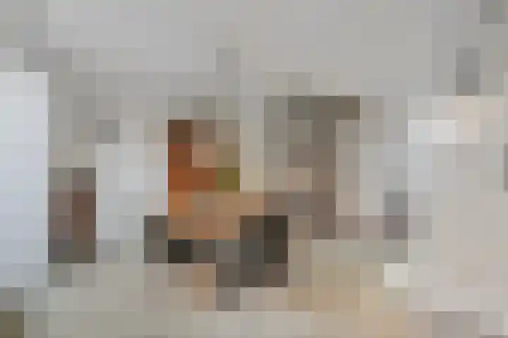 Stadhoudershof 12 Harmelen thumbnail 7