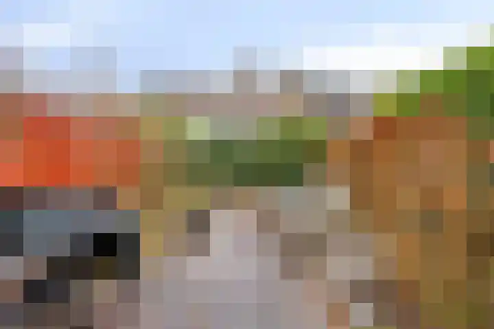 Stadhoudershof 26 Harmelen thumbnail 24