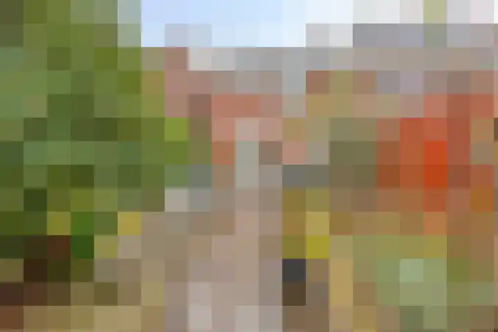 Stadhoudershof 26 Harmelen thumbnail 25