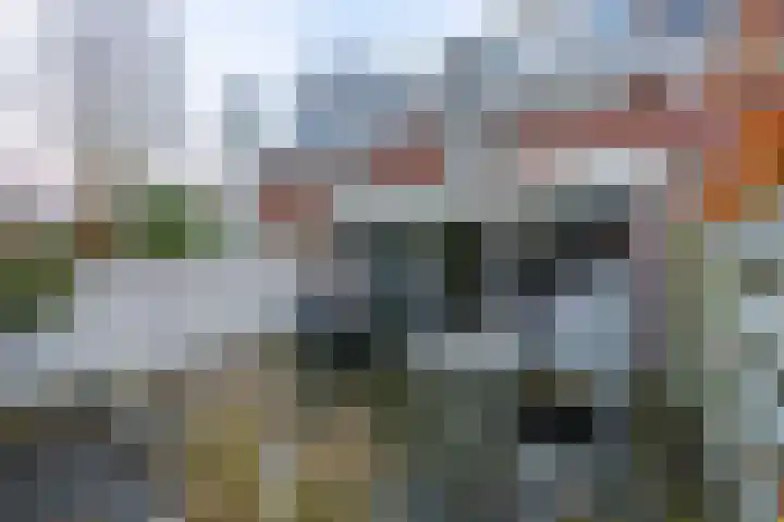 Stadhoudershof 59 Harmelen thumbnail 24
