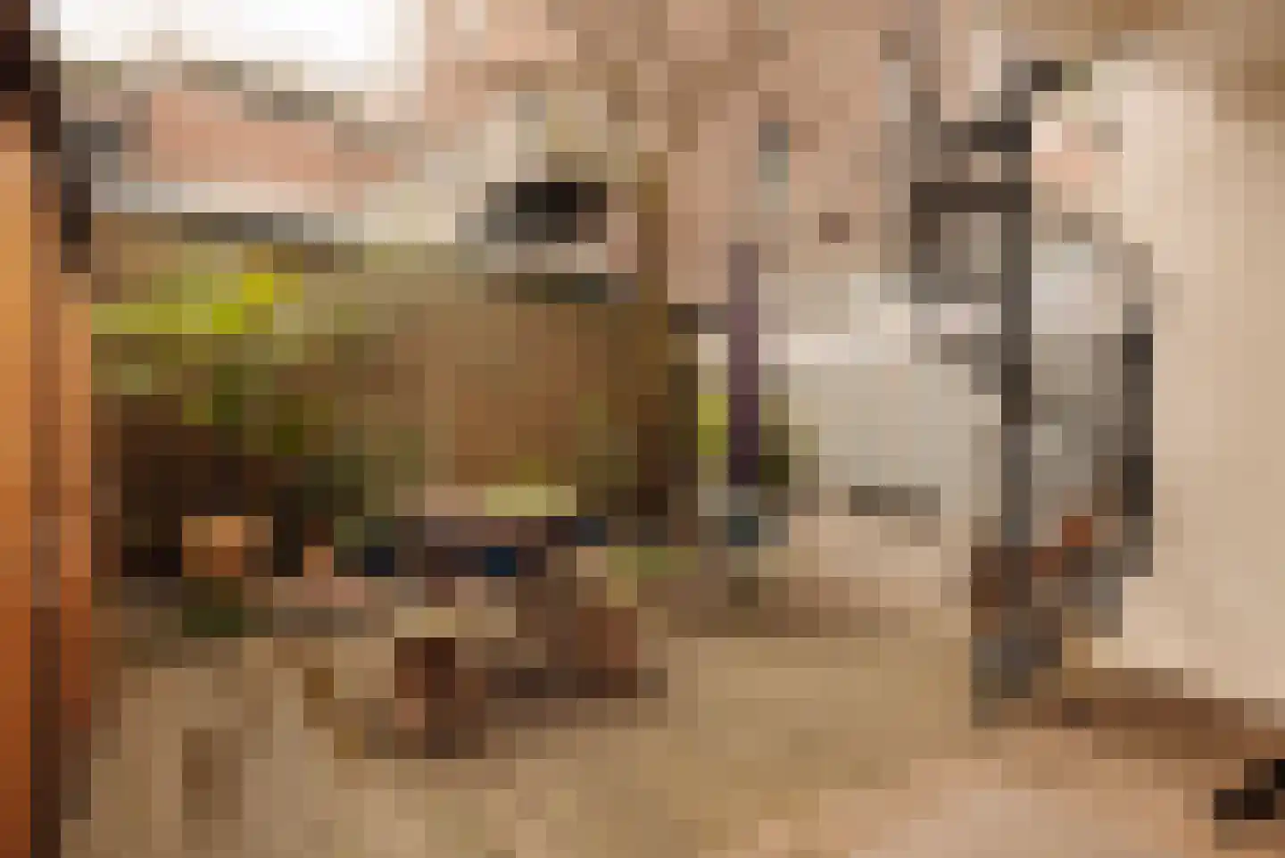 Stadhouderskade 118 H Amsterdam thumbnail 6
