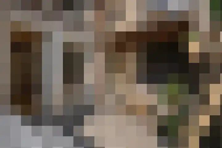 Stadhouderskade 121 1 Amsterdam thumbnail 13