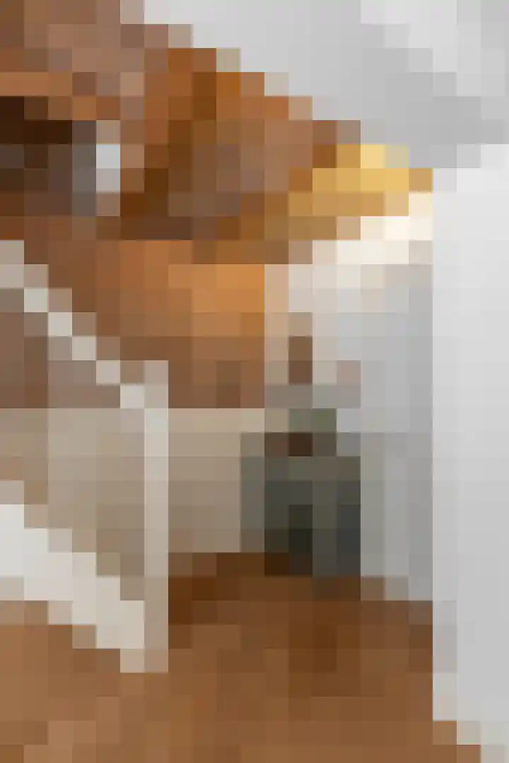 Stadhouderskade 121 1 Amsterdam thumbnail 5