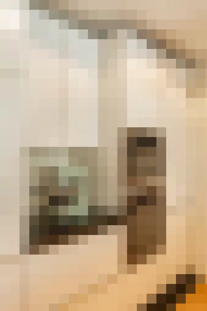 Stadhouderskade 121 1 Amsterdam thumbnail 9