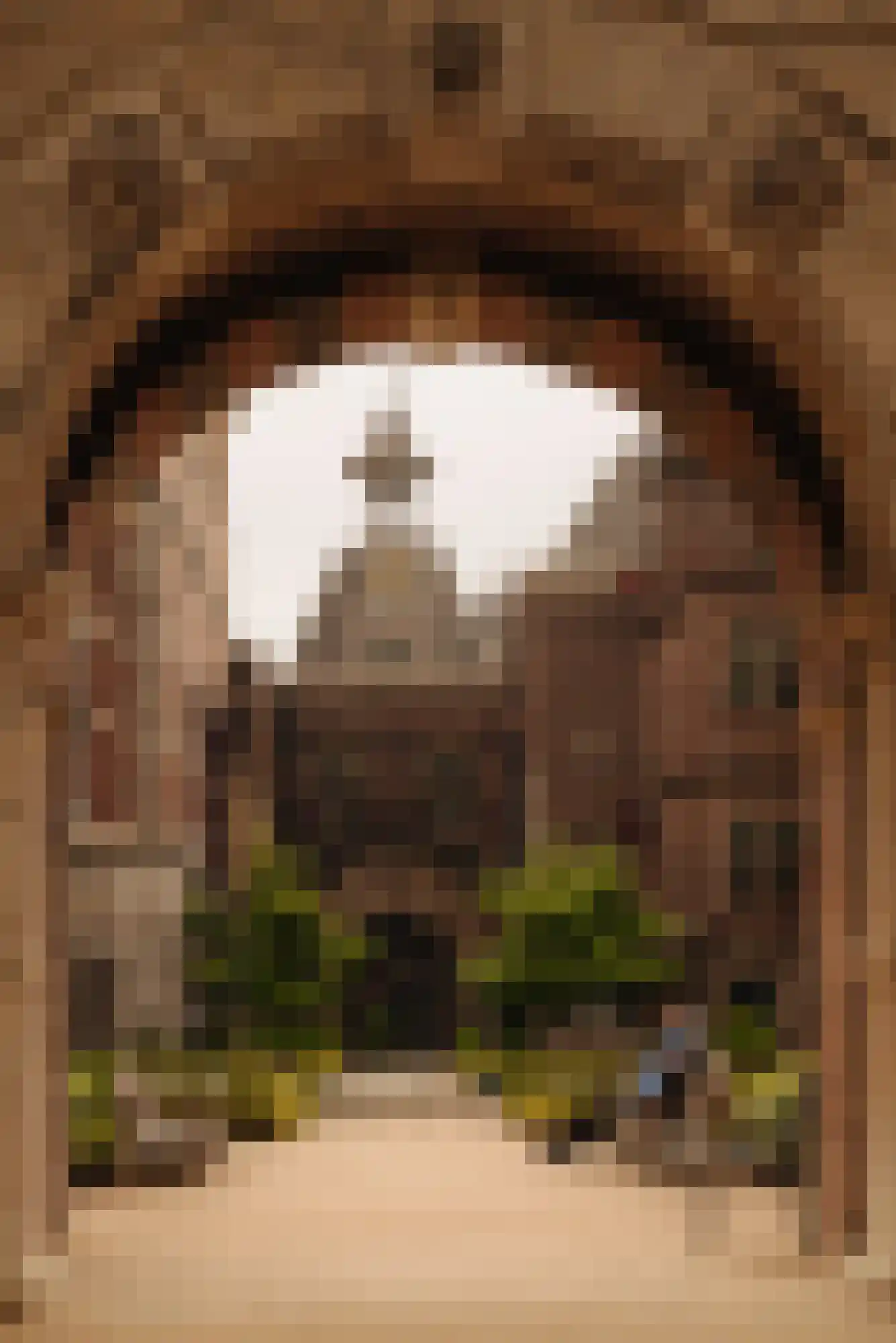 Stadhouderskade 19 D Amsterdam thumbnail 34