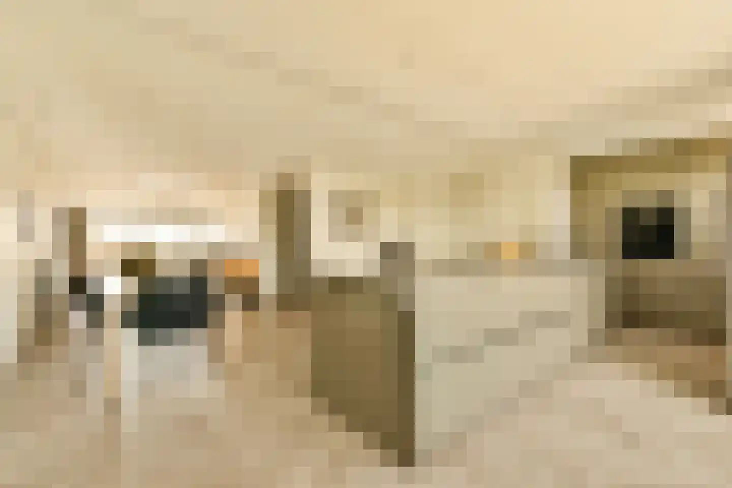 Stadhouderskade 21 H Amsterdam thumbnail 13