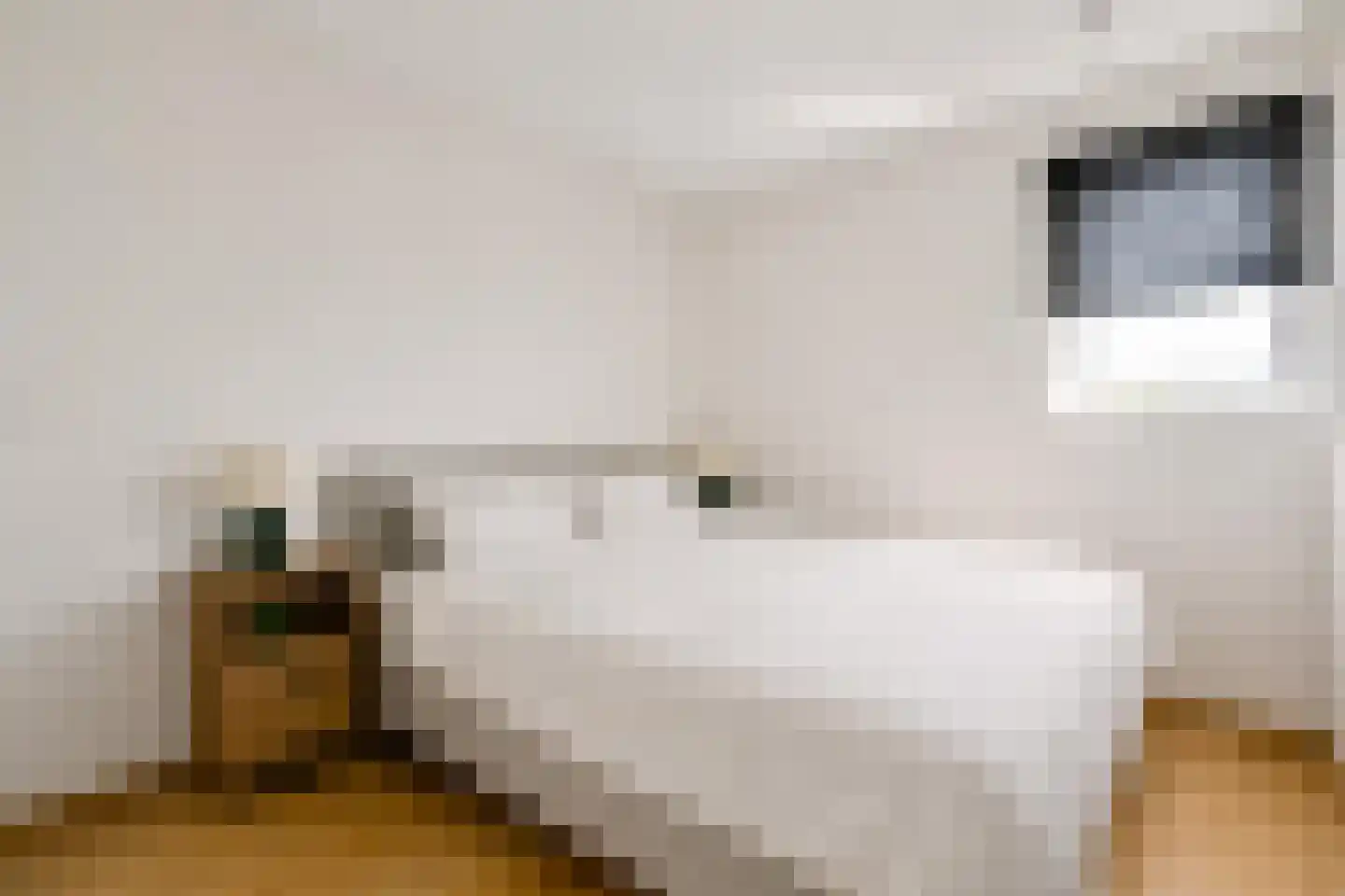 Stadhouderskade 21 H Amsterdam thumbnail 23