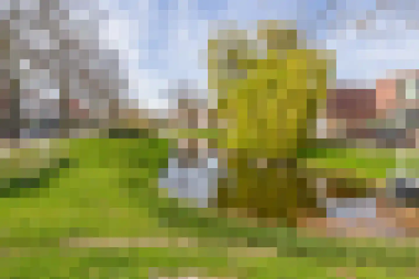 Stadhouderskade 23 Schiedam thumbnail 35
