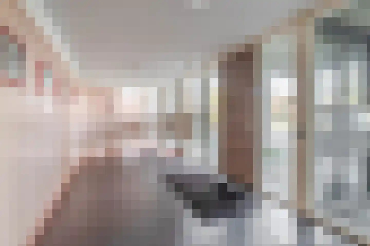 Stadhouderskade 23 Schiedam thumbnail 8