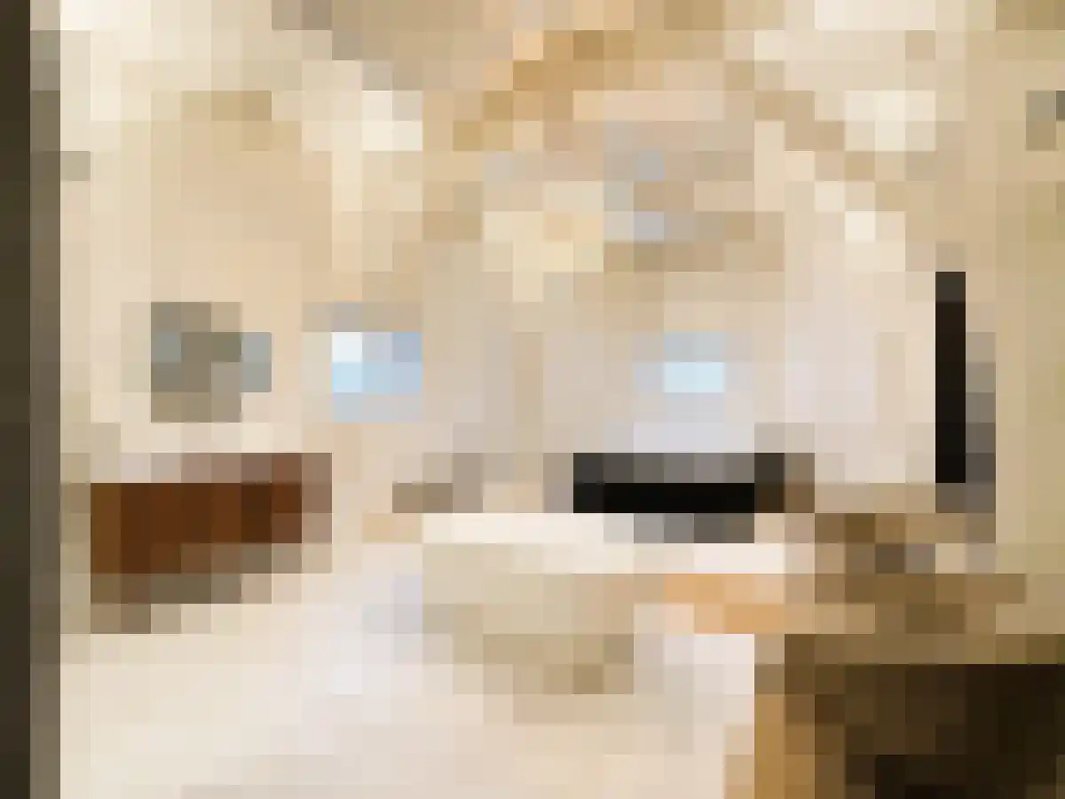 Stadhouderskade 41 Amsterdam thumbnail 5