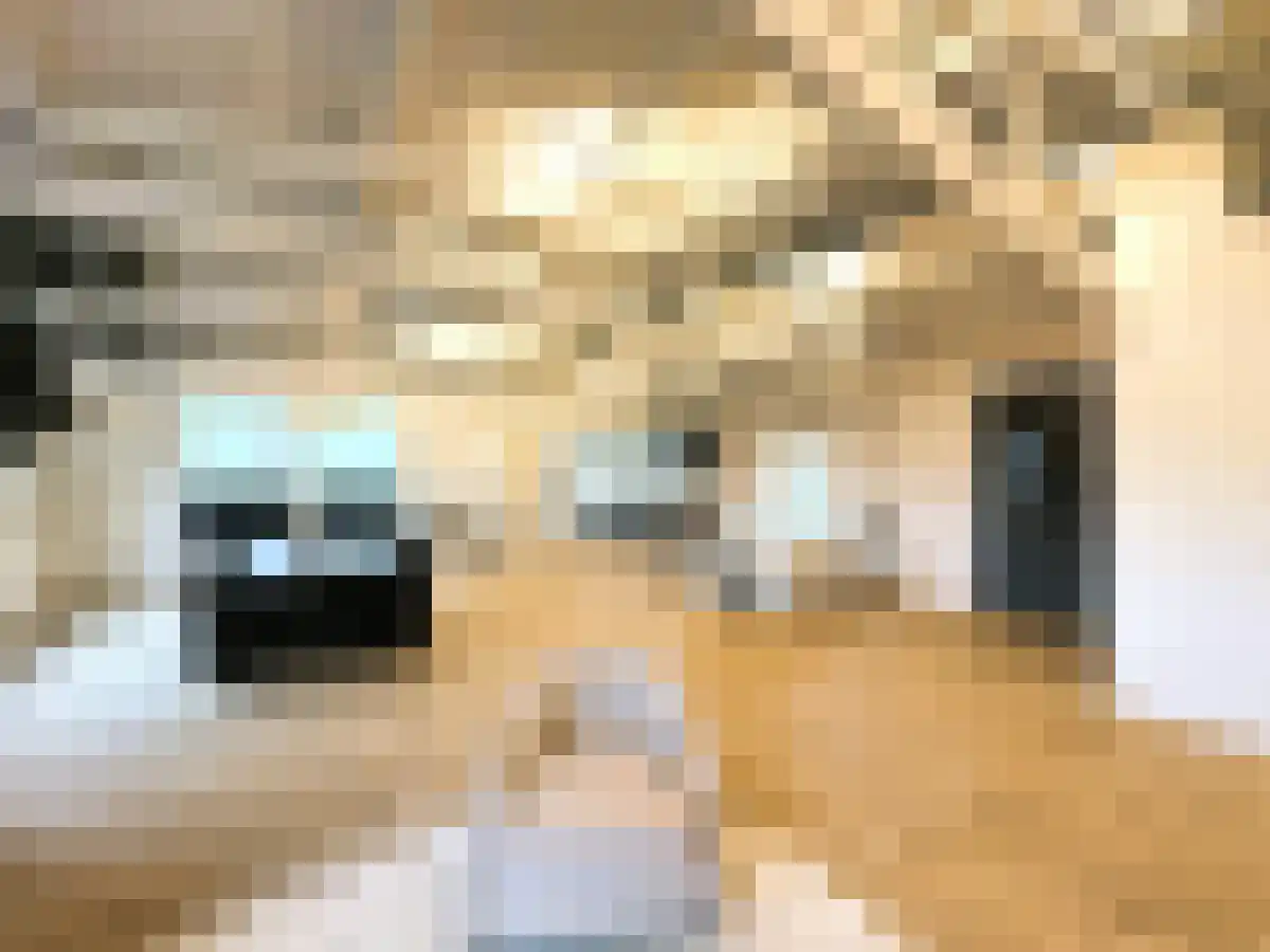Stadhouderskade 41 Amsterdam thumbnail 6