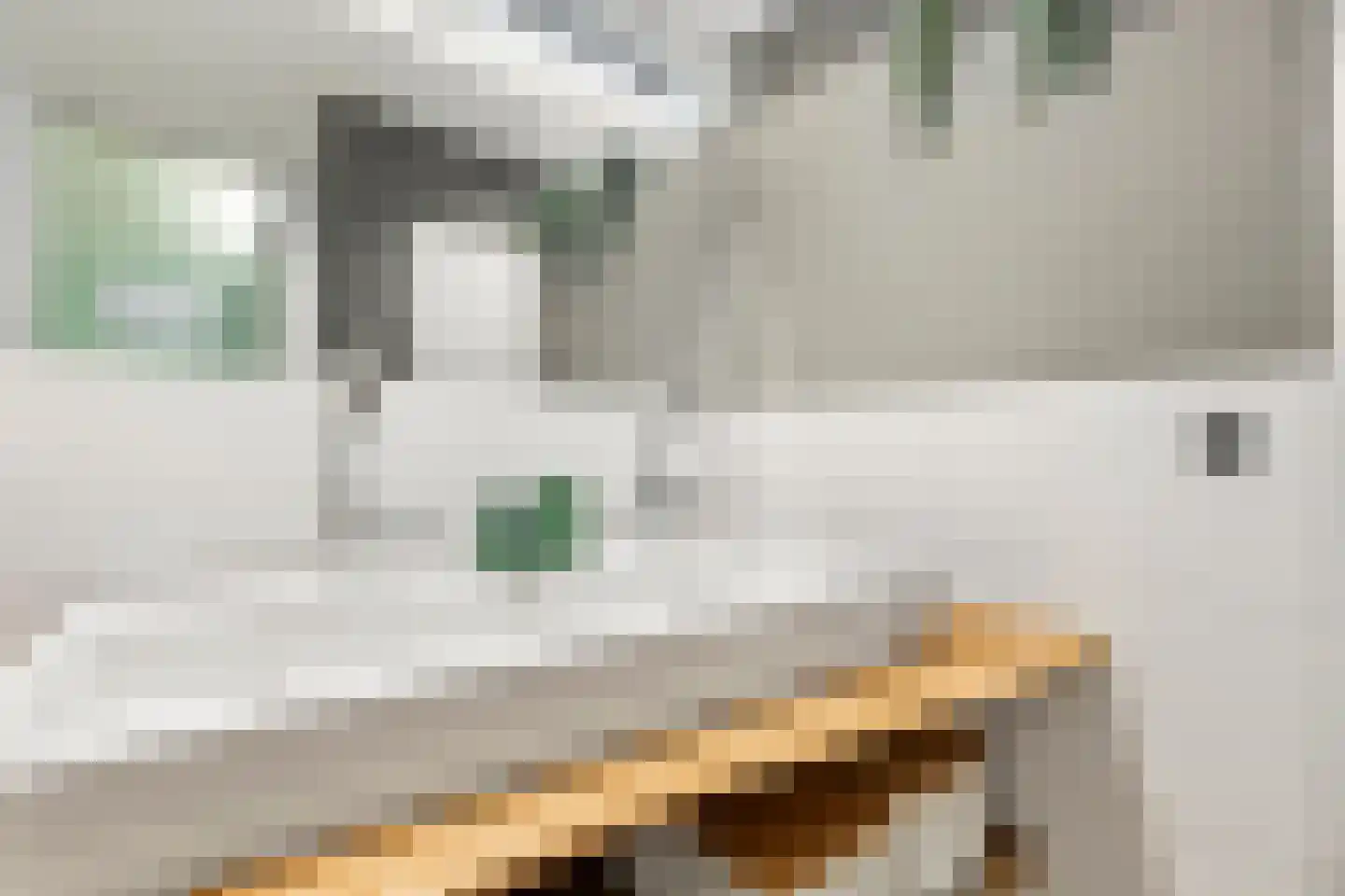 Stadhouderskade 49 1 Amsterdam thumbnail 37