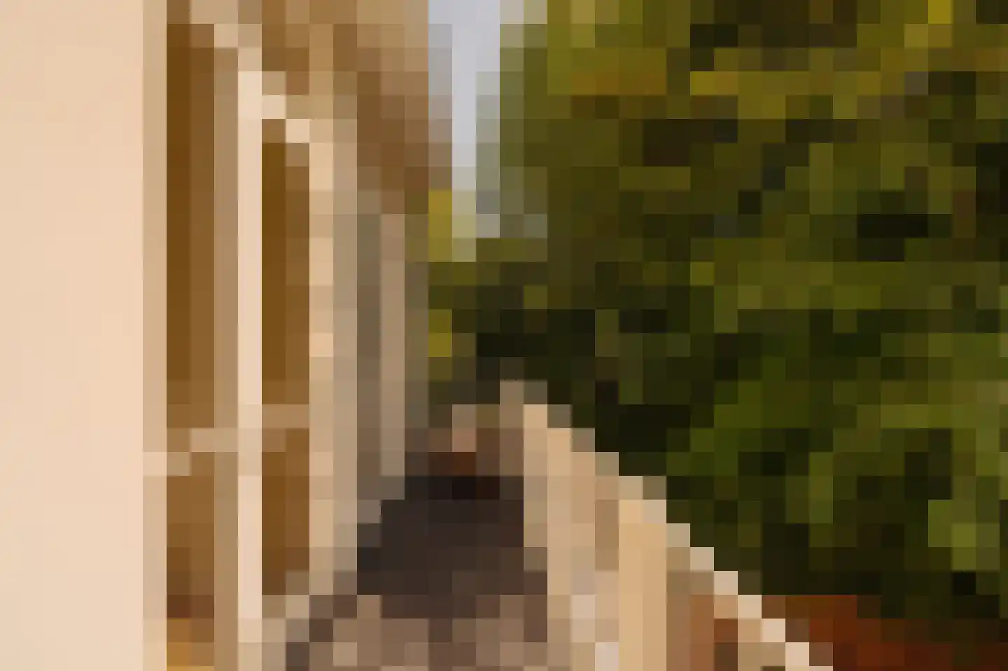 Stadhouderskade 50 1 Amsterdam thumbnail 25