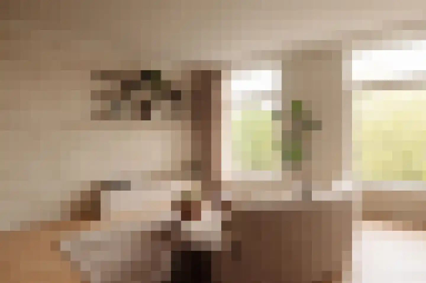 Stadhouderskade 50 3 Amsterdam thumbnail 13