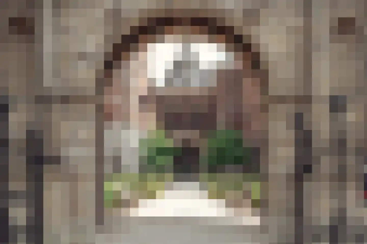 Stadhouderskade 50 3 Amsterdam thumbnail 32