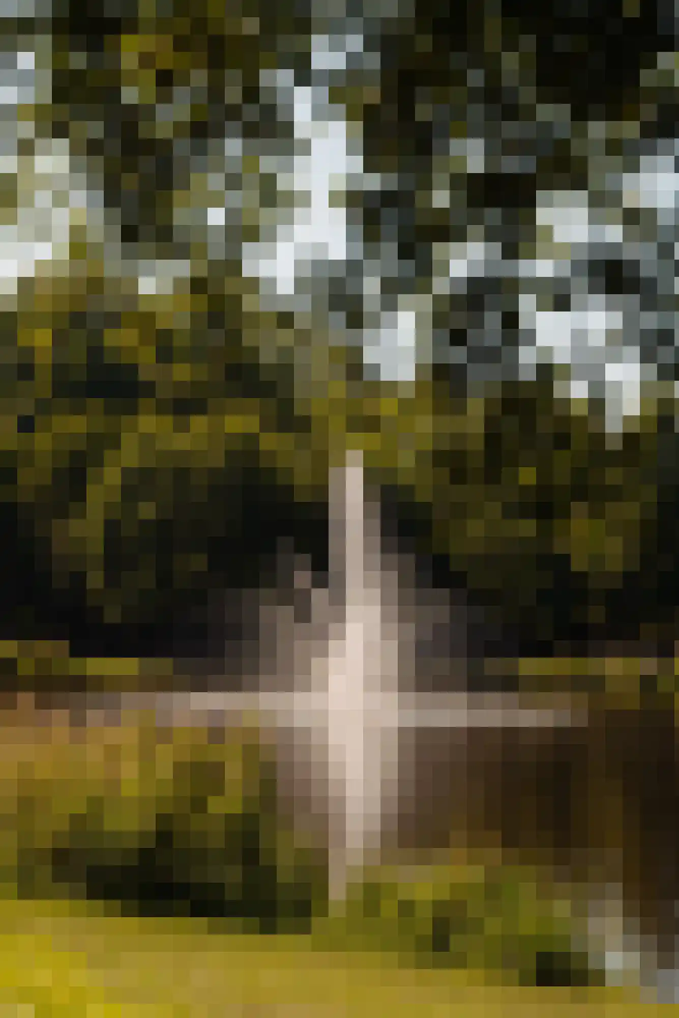 Stadhouderskade 50 3 Amsterdam thumbnail 33