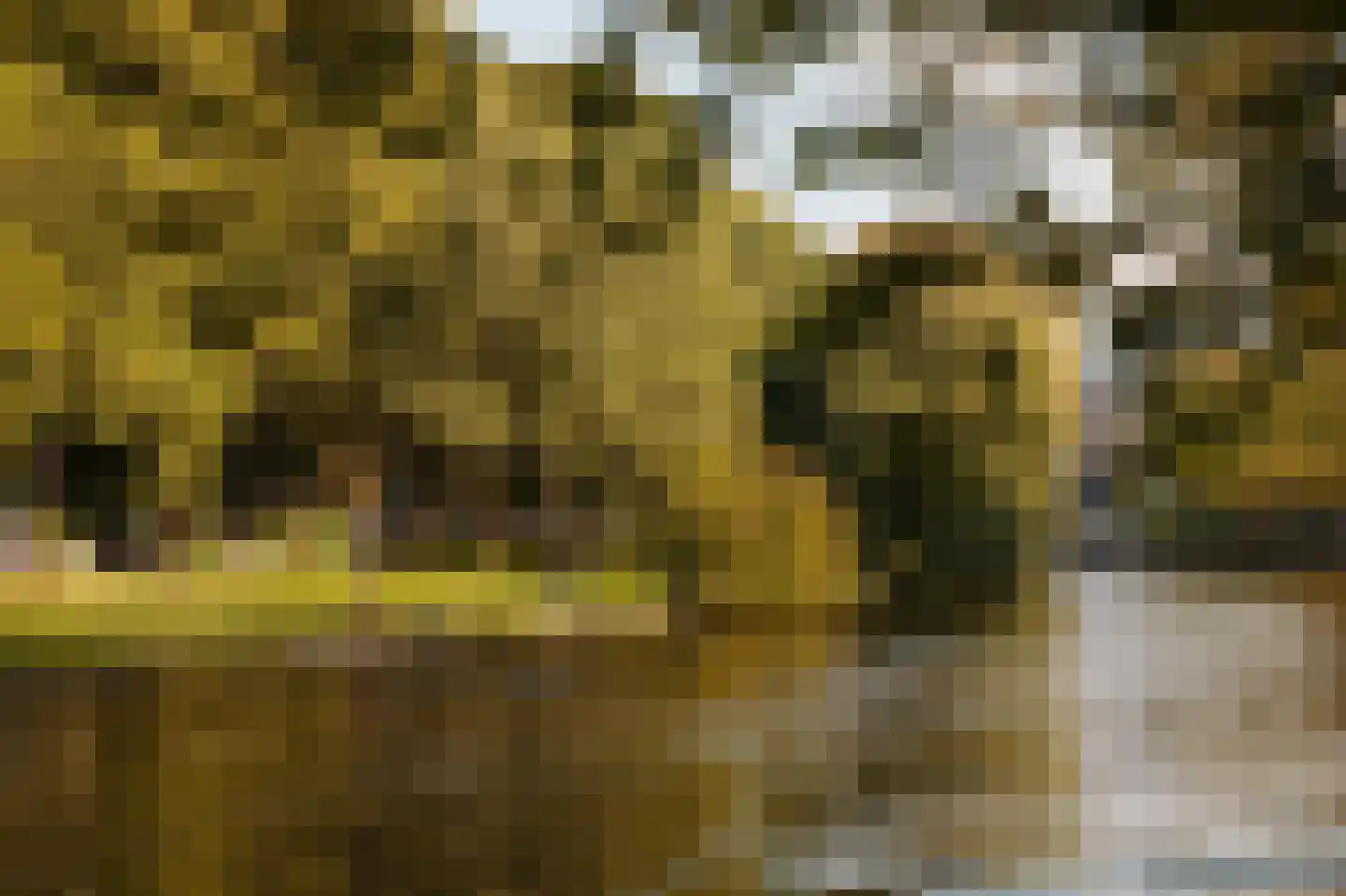Stadhouderskade 51 Amsterdam thumbnail 53