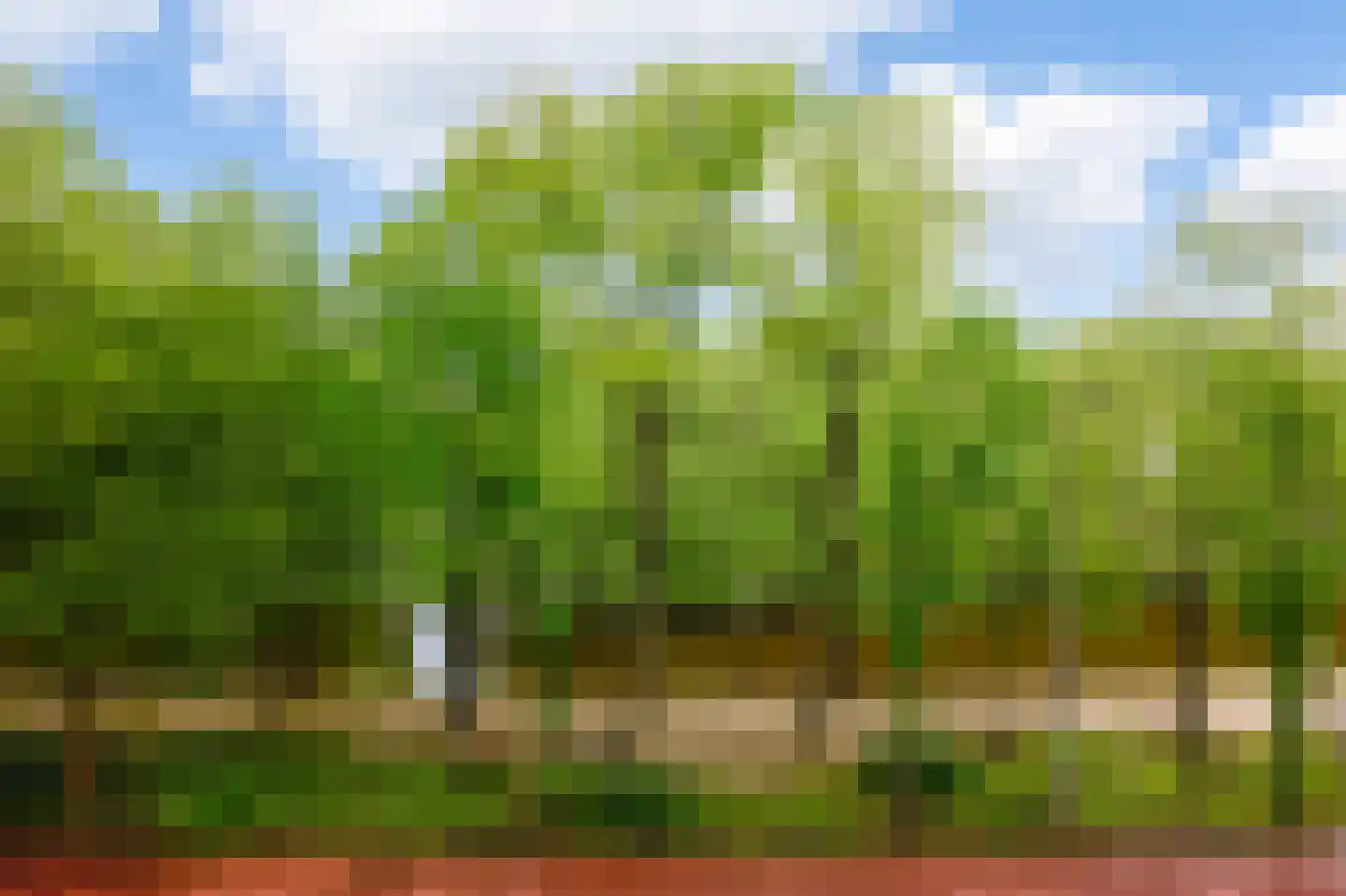Stadhouderskade 52 1 Amsterdam thumbnail 5
