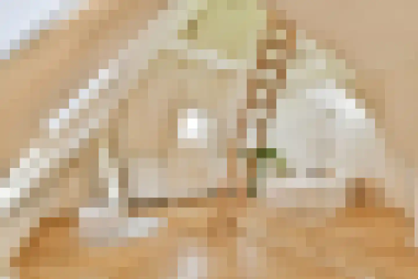 Stadhouderskade 69 3 Amsterdam thumbnail 19