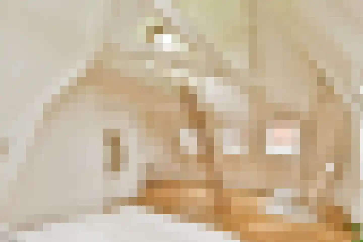 Stadhouderskade 69 3 Amsterdam thumbnail 20