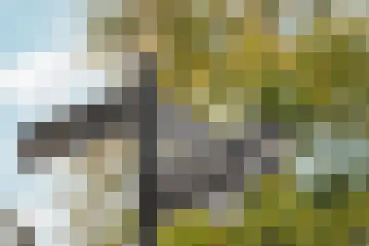 Stadhouderskade 97 C Amsterdam thumbnail 49
