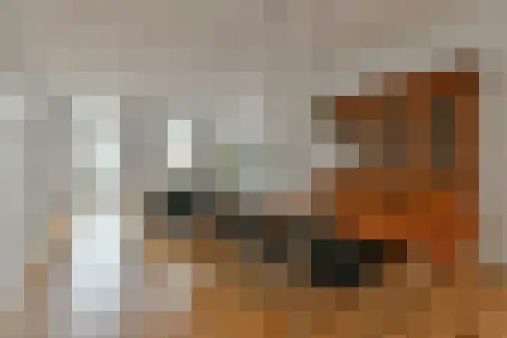 Stadhouderskade 98 H Amsterdam thumbnail 6