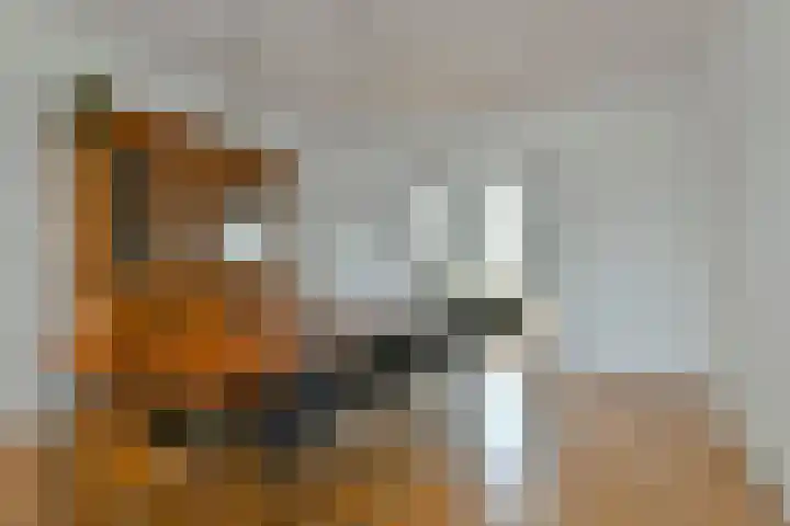 Stadhouderskade 98 H Amsterdam thumbnail 7