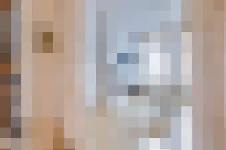 Stadhouderslaan 102 Utrecht thumbnail 11