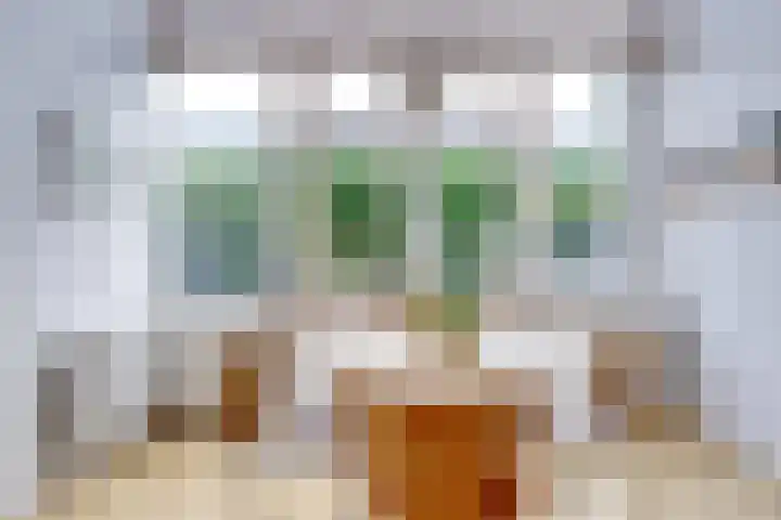 Stadhouderslaan 102 Utrecht thumbnail 18