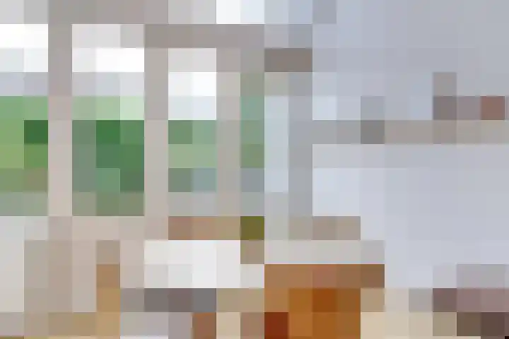 Stadhouderslaan 102 Utrecht thumbnail 19