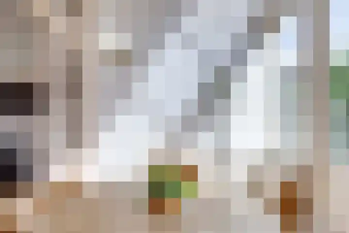 Stadhouderslaan 102 Utrecht thumbnail 21