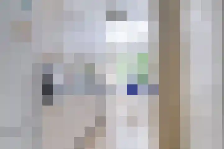 Stadhouderslaan 102 Utrecht thumbnail 28