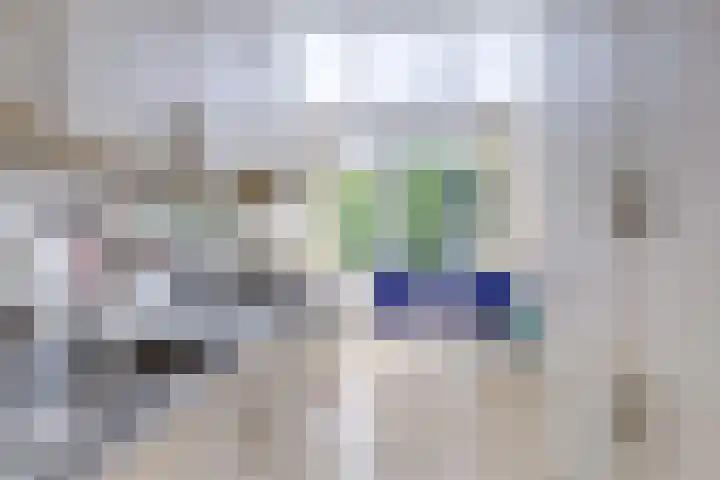 Stadhouderslaan 102 Utrecht thumbnail 29